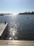 thriving sweden seafood restaurant - 2